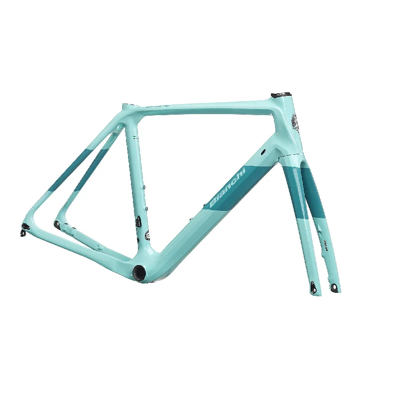 bicycle tool comfort-Bianchi Infinito CV Disc Frameset